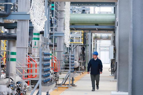 海上新山東丨科技興海，做好蔚藍新文章——鉆采工程技術(shù)服務(wù)篇