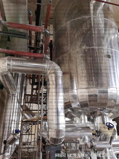 速凍食品加工中的氨制冷系統 保障食品安全與提升生產效率的核心技術