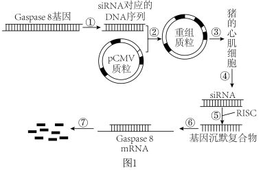 基因工程生產人胰島素 微生物與轉基因動物方法的對比